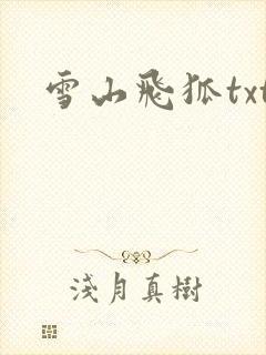 雪山飞狐txt