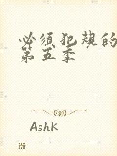 必须犯规的游戏第五季