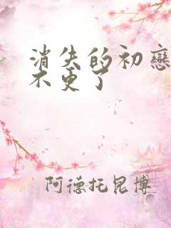 消失的初恋为啥不更了