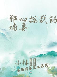 邪心总裁的纯情娇妻