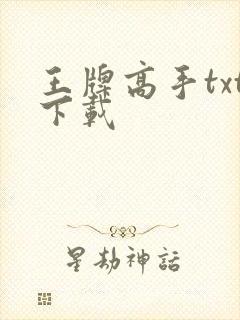 王牌高手txt下载