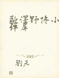 欧泽野佟小曼无弹屏