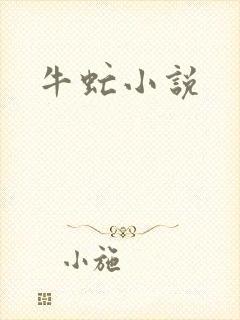 牛虻小说