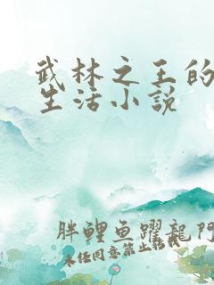 武林之王的退隐生活小说