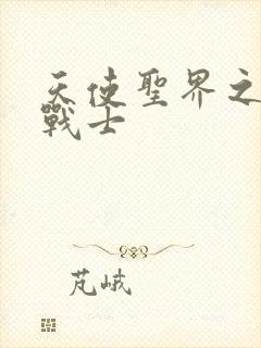 天使圣界之神之战士