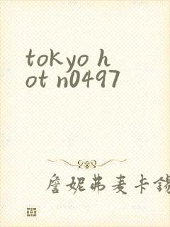 tokyo hot n0497