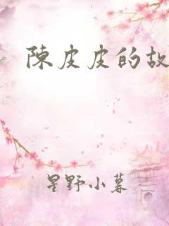陈皮皮的故事
