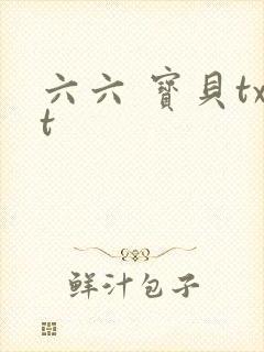 六六 宝贝txt