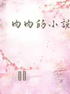肉肉的小说