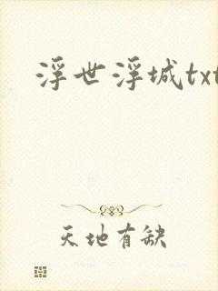 浮世浮城txt