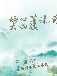 婚心荡漾,前夫太凶猛