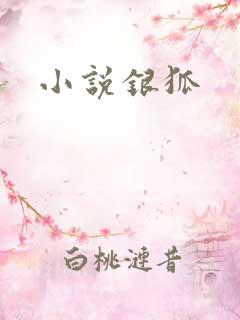 小说银狐