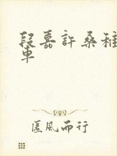 段嘉许桑稚浴室车