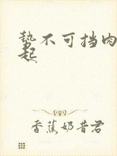 势不可挡肉到飞起