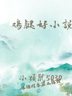 鸡腿好小说网