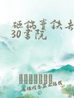 砸锅卖铁去上学30书院