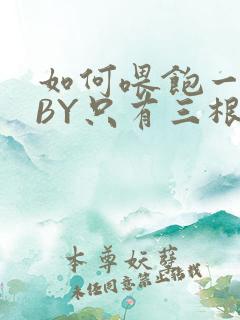 如何喂饱一只猫BY只有三根头发