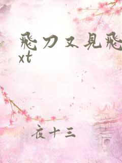 飞刀又见飞刀txt
