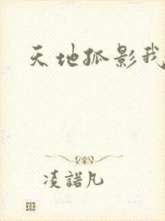 天地孤影我独行