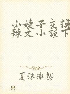 小婕子交换系列辣文小说下载