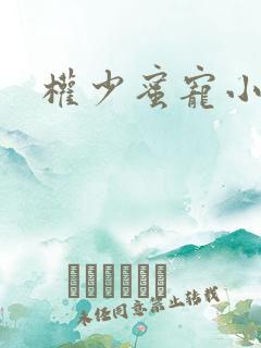 权少蜜宠小娇妻