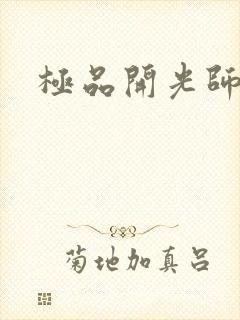 极品开光师