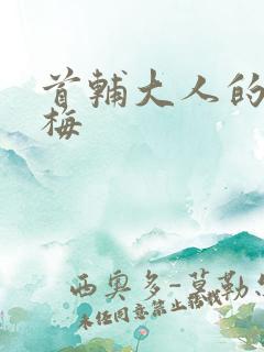 首辅大人的小青梅