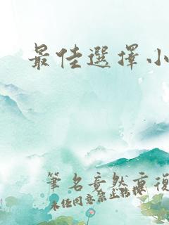 最佳选择小说