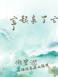 它起来了它想你了