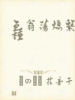 色翁荡熄系列借种