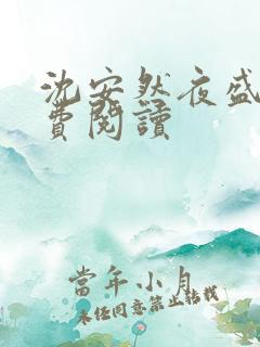 沈安然夜盛霆免费阅读