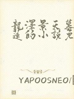 龙泽景天慕容青莲的小说免费阅读