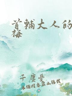 首辅大人的小青梅