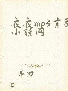 夜夜mp3有声小说网