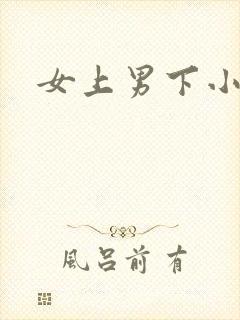 女上男下小说