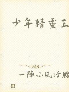 少年精灵王