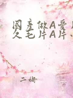 国产做A爱片久久毛片A片小说