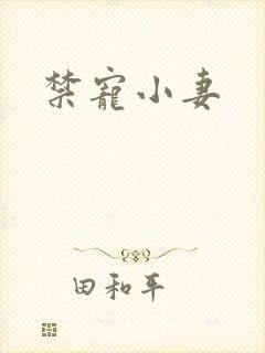 禁宠小妻