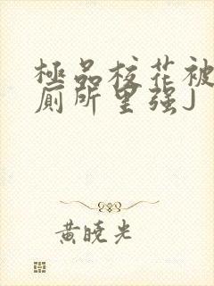 极品校花被拉到厕所里强J