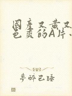 国产又黄又大又色爽的A片小说