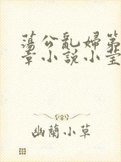 荡公乱妇第51章小说小莹