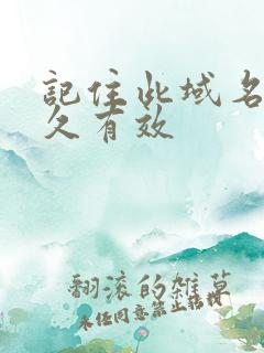 记住此域名记永久有效