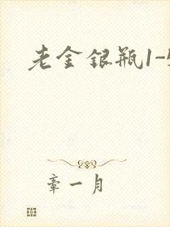 老金银瓶1-5