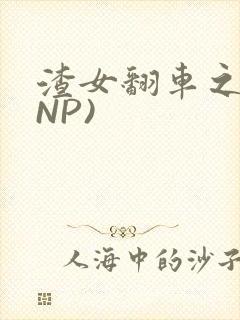 渣女翻车之后(NP)