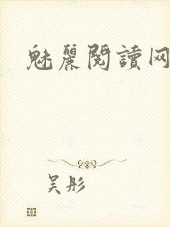 魅丽阅读网