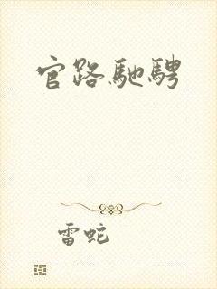 官路驰骋
