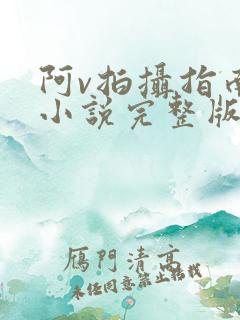 阿v拍摄指南说小说完整版
