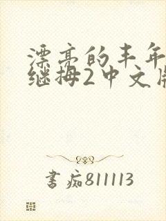 漂亮的丰年经的继拇2中文版