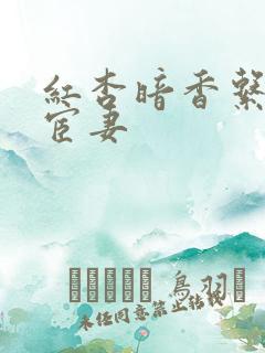 红杏暗香系列之宦妻