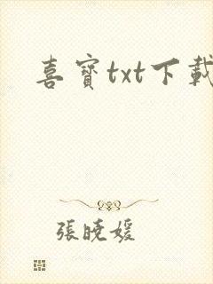 喜宝txt下载